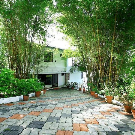 Green Magic Home Munnar Esterno foto