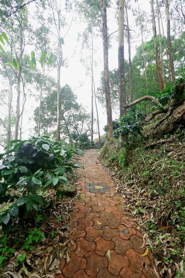 Green Magic Home Munnar Esterno foto
