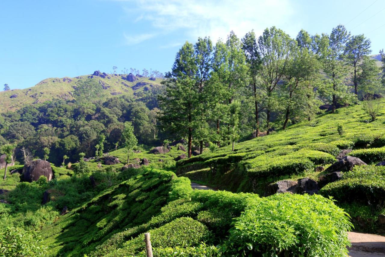 Green Magic Home Munnar Esterno foto