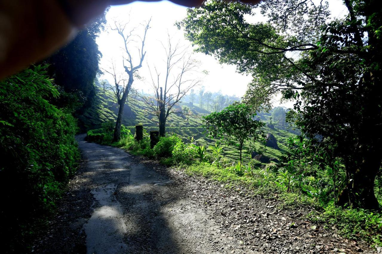 Green Magic Home Munnar Esterno foto