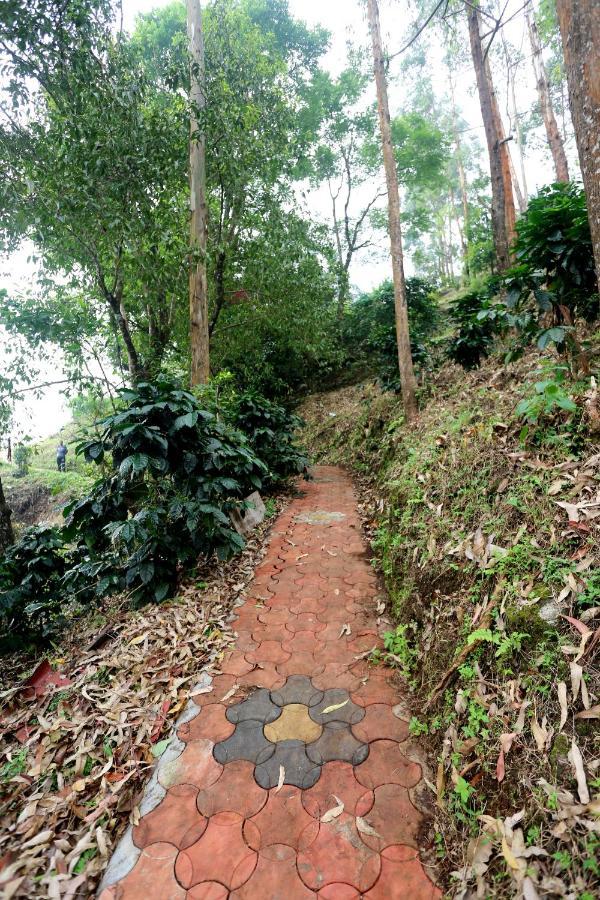 Green Magic Home Munnar Esterno foto