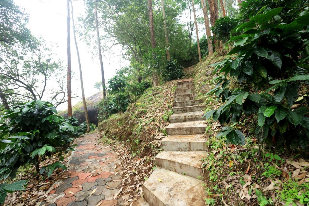 Green Magic Home Munnar Esterno foto