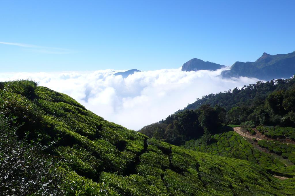 Green Magic Home Munnar Esterno foto