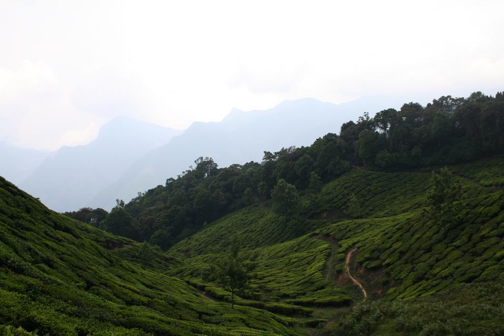 Green Magic Home Munnar Esterno foto